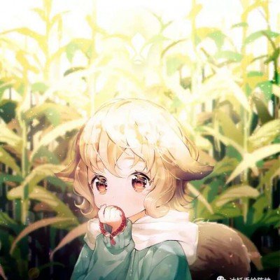 多位省委书记省长会见王传福